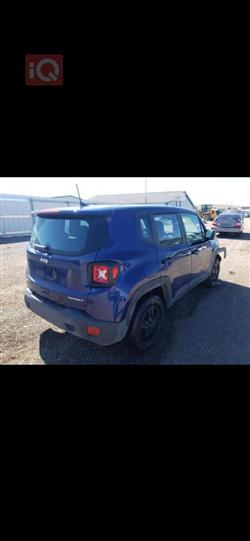 جيب رينيجيد